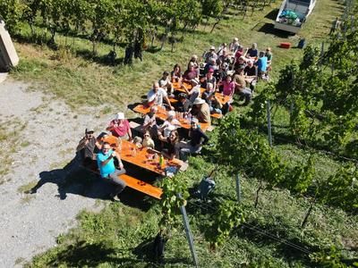 Abschlussbild Weinlese 2026